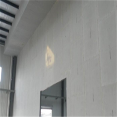 乐都宁波ALC板|EPS加气板隔墙与混凝土整浇联接的实验研讨